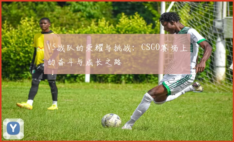 V5战队的荣耀与挑战：CSGO赛场上的奋斗与成长之路