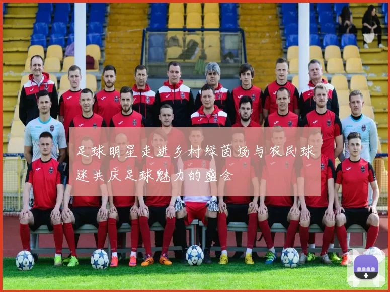 足球明星走进乡村绿茵场与农民球迷共庆足球魅力的盛会
