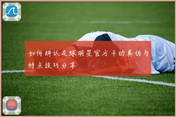 如何辨认足球明星官方卡的真伪与特点技巧分享
