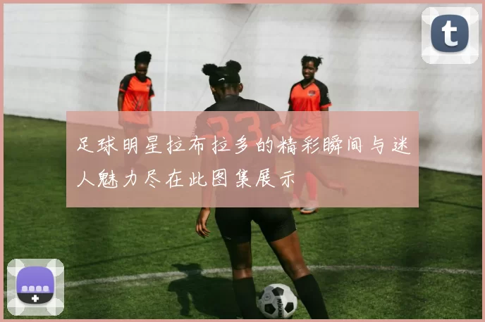 足球明星拉布拉多的精彩瞬间与迷人魅力尽在此图集展示
