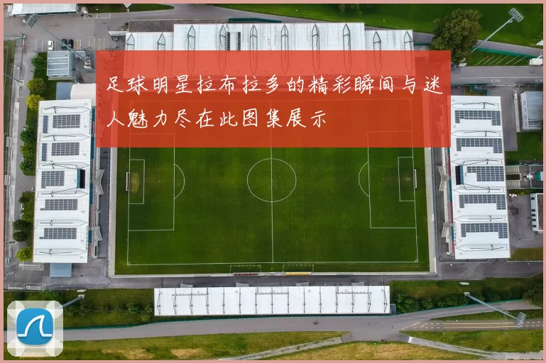 足球明星拉布拉多的精彩瞬间与迷人魅力尽在此图集展示