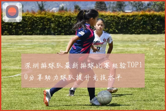 深圳排球队最新排球比赛经验TOP10分享助力球队提升竞技水平