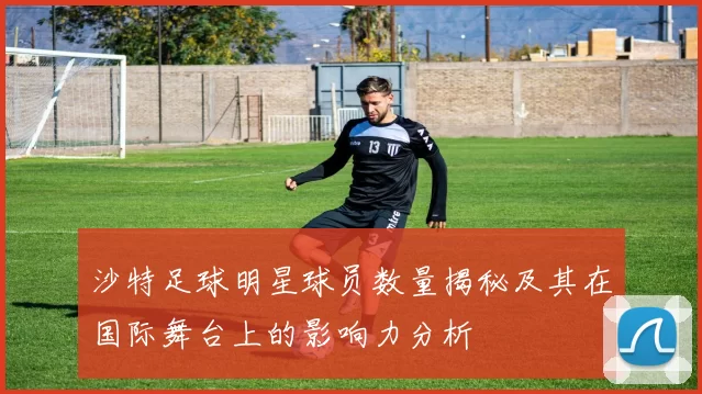 沙特足球明星球员数量揭秘及其在国际舞台上的影响力分析