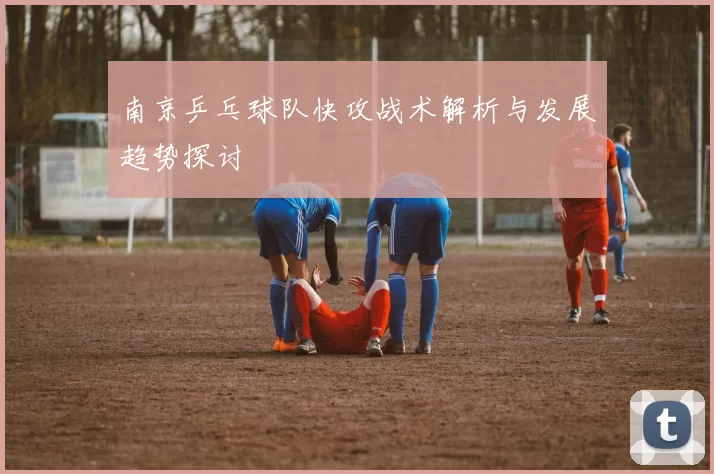 南京乒乓球队快攻战术解析与发展趋势探讨