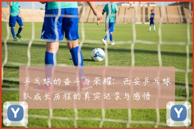 乒乓球的奋斗与荣耀：西安乒乓球队成长历程的真实记录与感悟