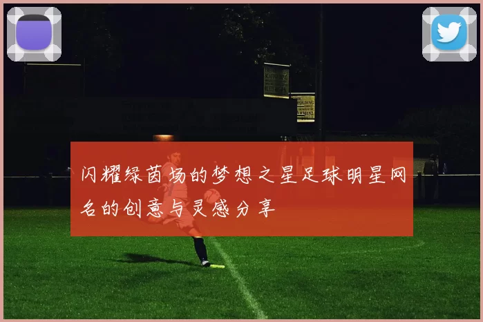 闪耀绿茵场的梦想之星足球明星网名的创意与灵感分享