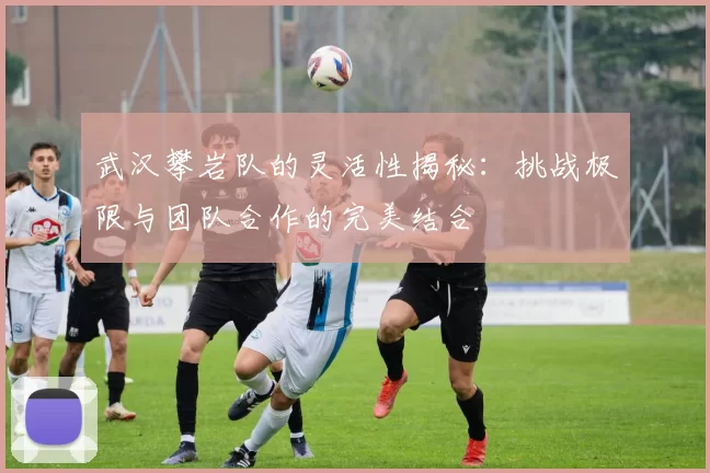 武汉攀岩队的灵活性揭秘：挑战极限与团队合作的完美结合