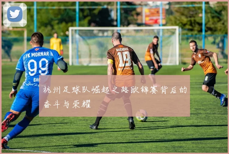 杭州足球队崛起之路欧锦赛背后的奋斗与荣耀