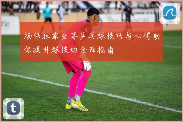 杨伟独家分享乒乓球技巧与心得助你提升球技的全面指南
