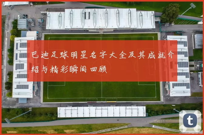 巴迪足球明星名字大全及其成就介绍与精彩瞬间回顾