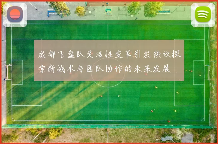 成都飞盘队灵活性变革引发热议探索新战术与团队协作的未来发展